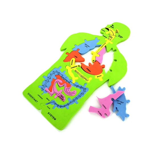 11 piece foam anatomy puzzle for kids labeled human body parts learning toy